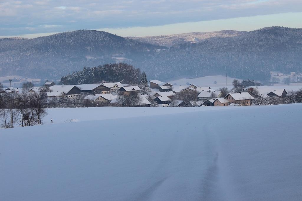 Gasthaus Zur Waldesruh Waffenbrunn Dış mekan fotoğraf