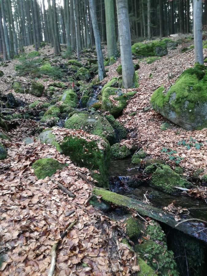 Gasthaus Zur Waldesruh Waffenbrunn Dış mekan fotoğraf