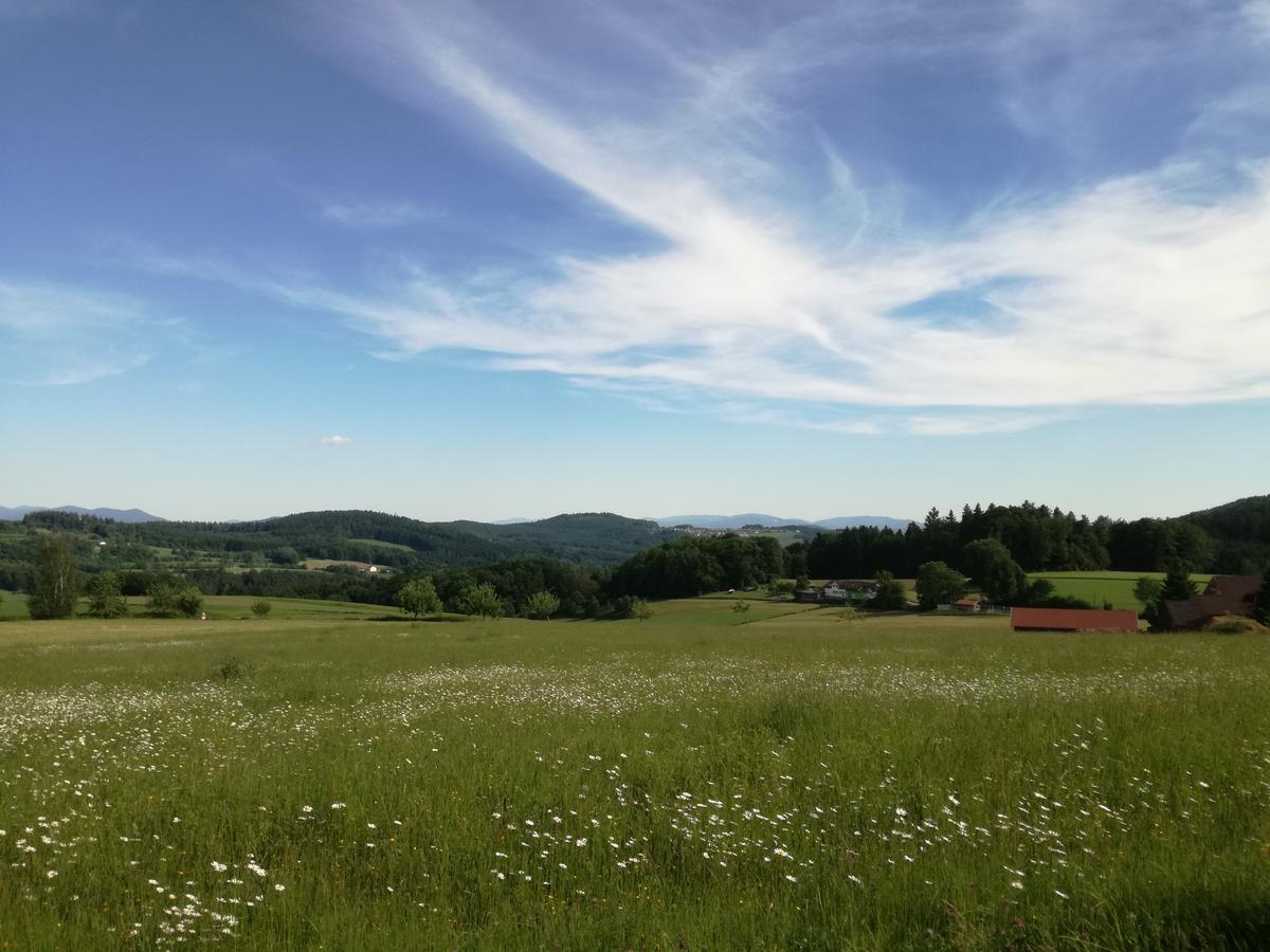 Gasthaus Zur Waldesruh Waffenbrunn Dış mekan fotoğraf